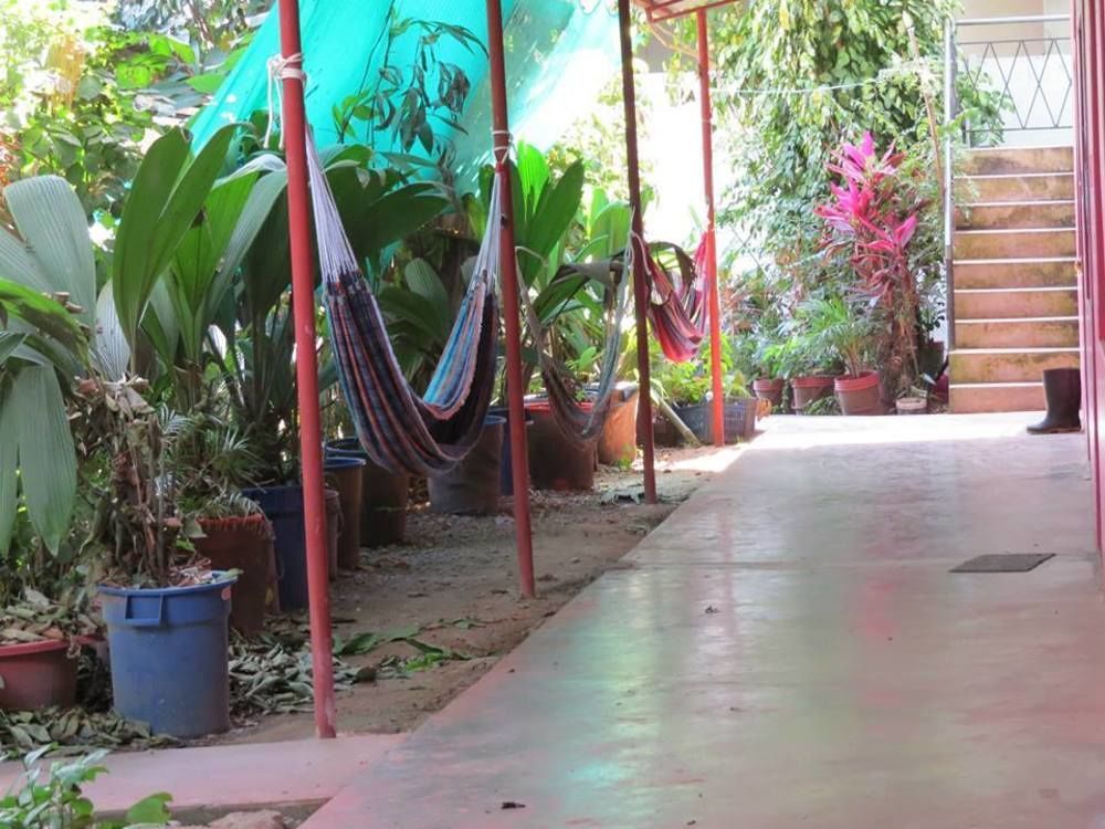 Tambopata Hostel Bambu Puerto Maldonado Exteriör bild