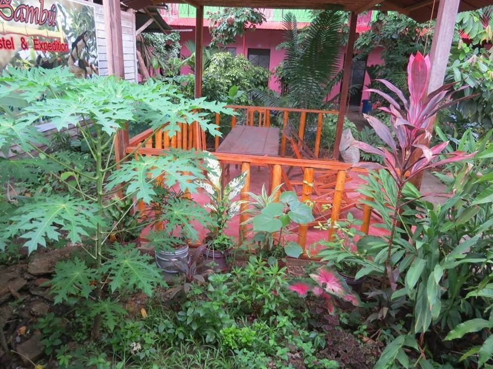 Tambopata Hostel Bambu Puerto Maldonado Exteriör bild
