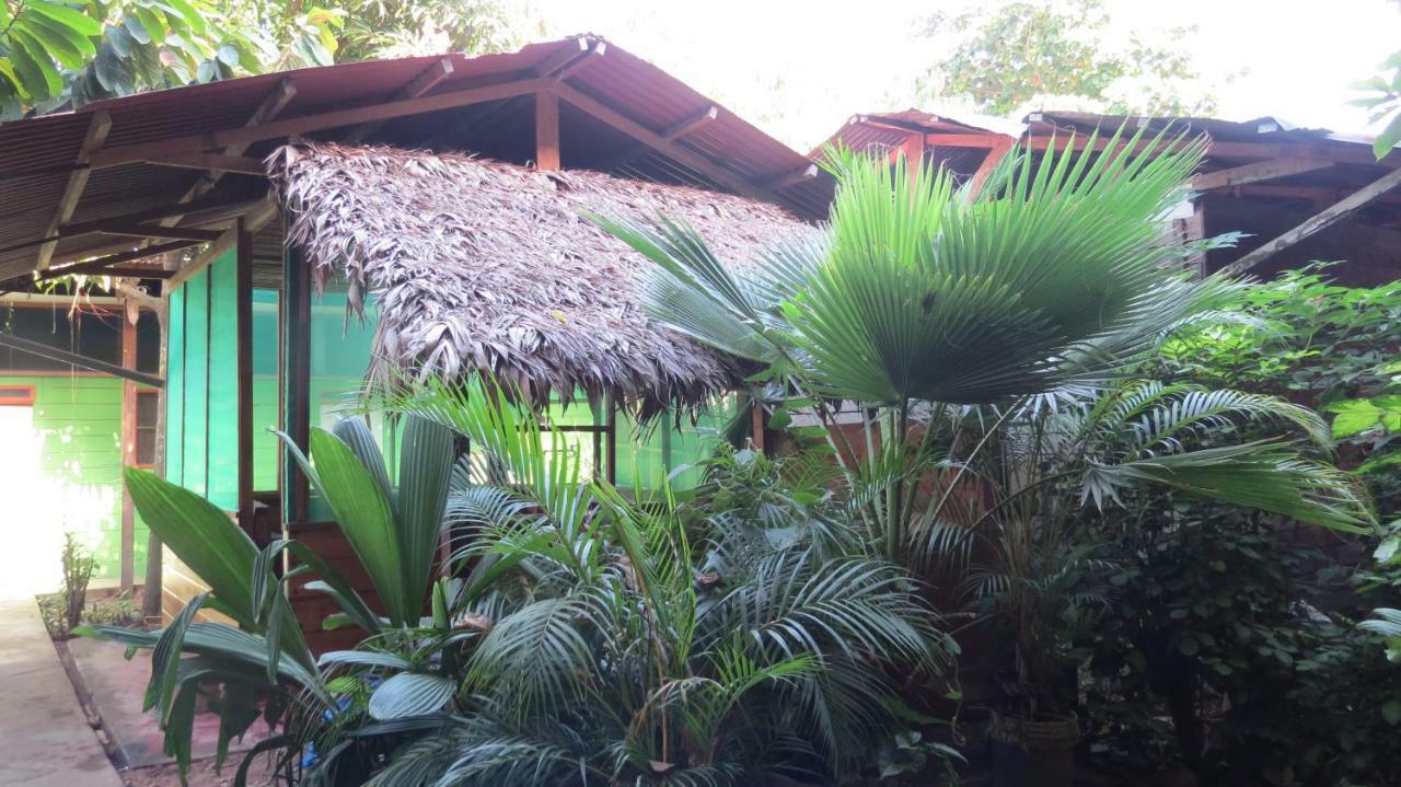 Tambopata Hostel Bambu Puerto Maldonado Exteriör bild