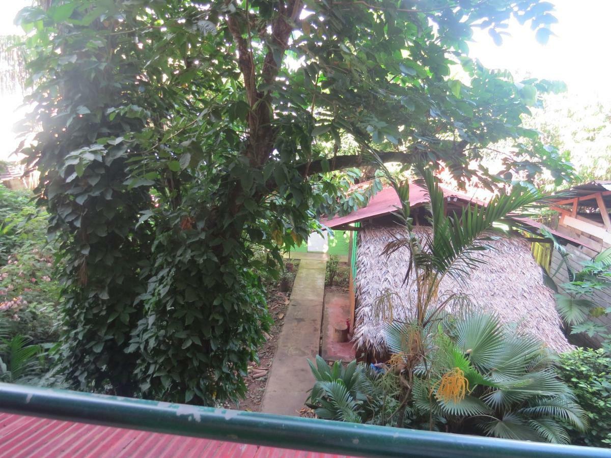 Tambopata Hostel Bambu Puerto Maldonado Exteriör bild