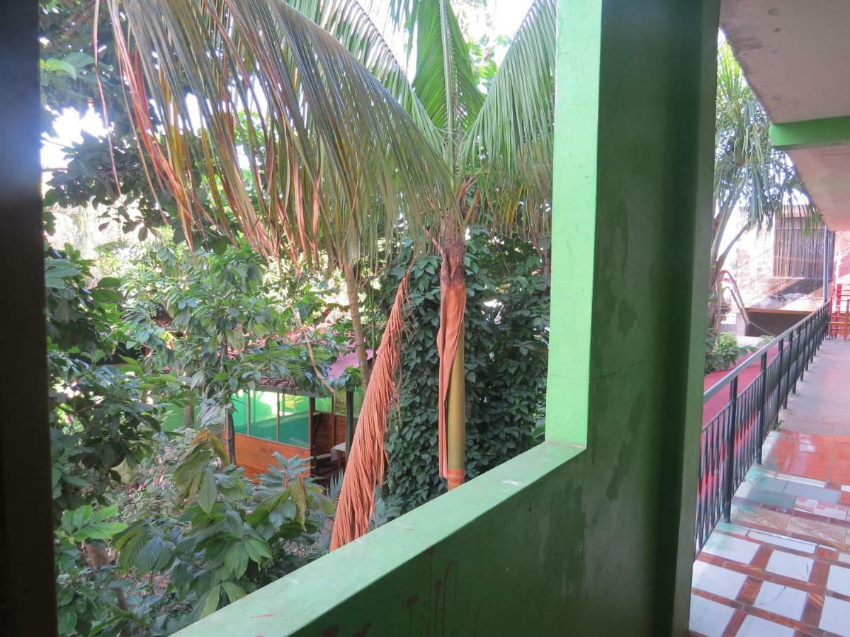Tambopata Hostel Bambu Puerto Maldonado Exteriör bild